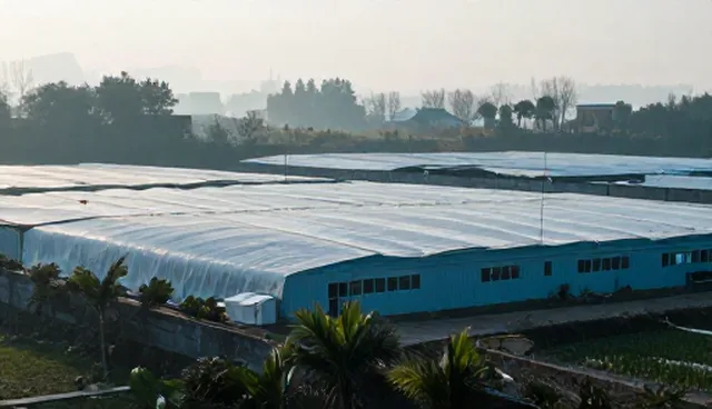 化工原料销售中适用限制的理解误区